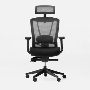 ErgoChair Pro