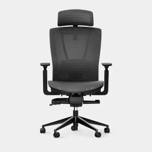 ErgoChair Mesh